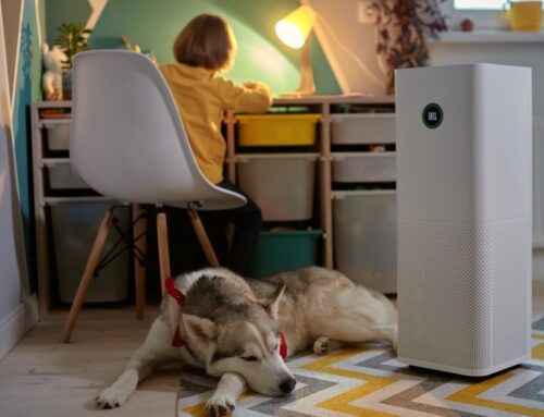 Oczyszczacze powietrza — skuteczny sposób na smog